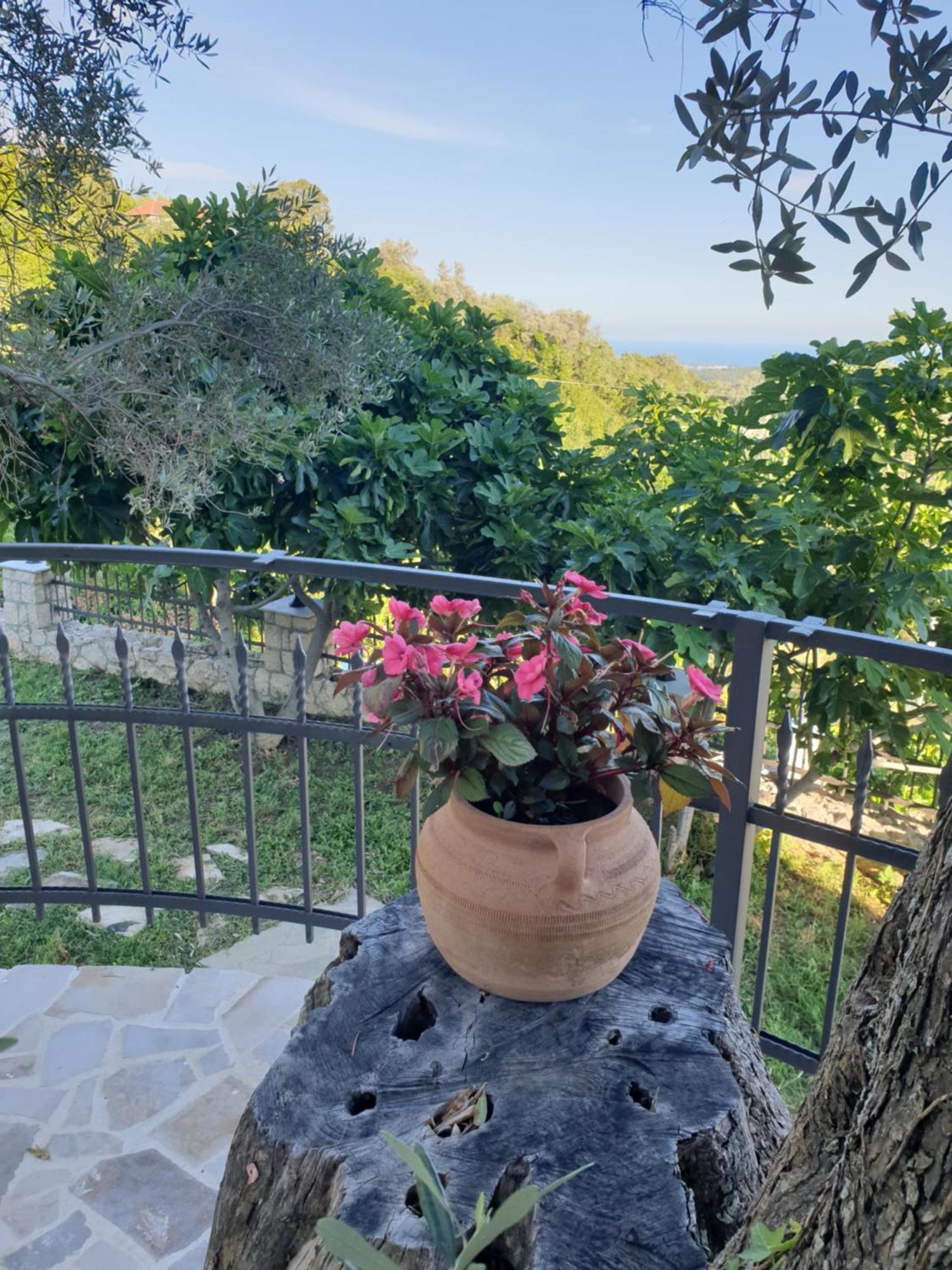 Rustic Villas Barlovic Ulcinj Bagian luar foto